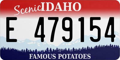ID license plate E479154