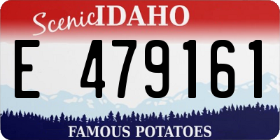 ID license plate E479161