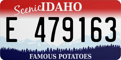 ID license plate E479163