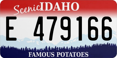 ID license plate E479166