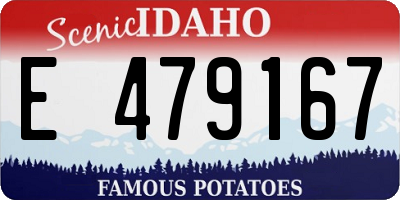 ID license plate E479167