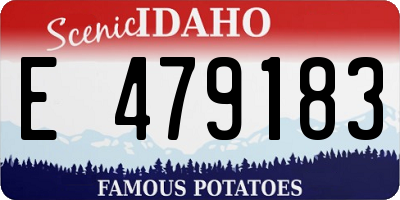 ID license plate E479183