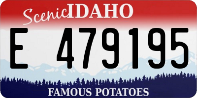 ID license plate E479195