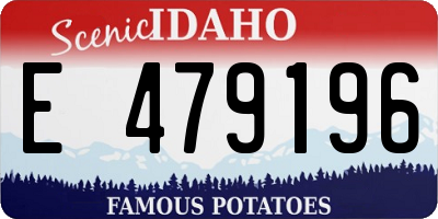 ID license plate E479196