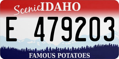 ID license plate E479203
