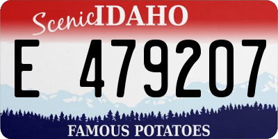 ID license plate E479207