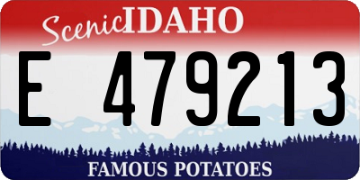 ID license plate E479213