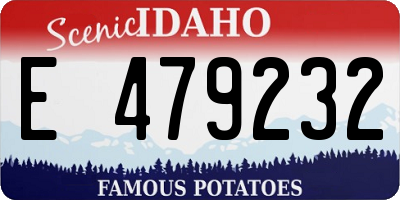 ID license plate E479232