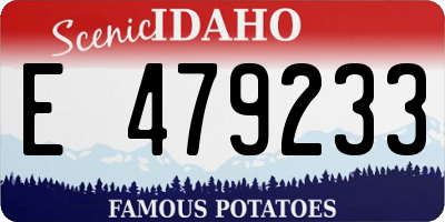 ID license plate E479233