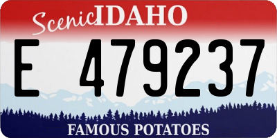 ID license plate E479237