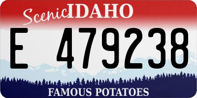 ID license plate E479238