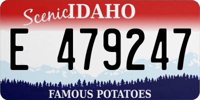 ID license plate E479247