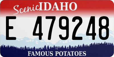 ID license plate E479248