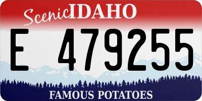 ID license plate E479255