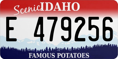 ID license plate E479256