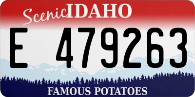 ID license plate E479263