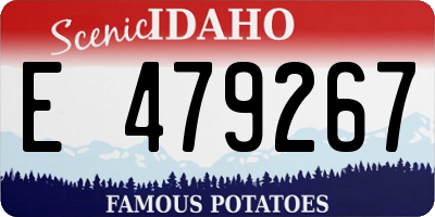 ID license plate E479267