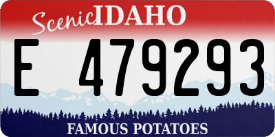 ID license plate E479293