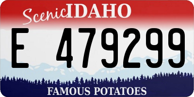 ID license plate E479299