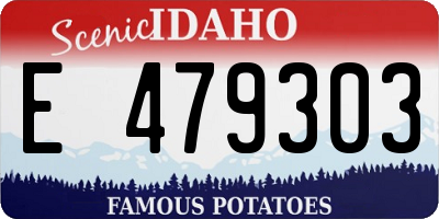 ID license plate E479303