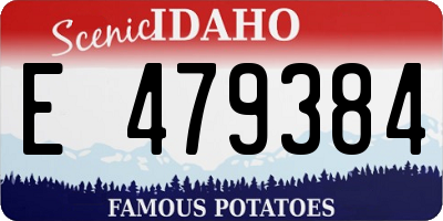 ID license plate E479384