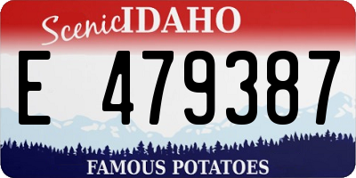 ID license plate E479387