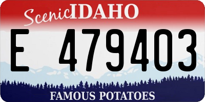 ID license plate E479403