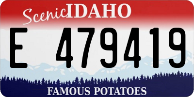 ID license plate E479419