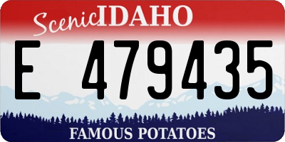 ID license plate E479435