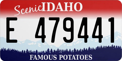 ID license plate E479441