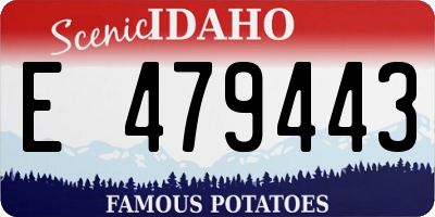 ID license plate E479443