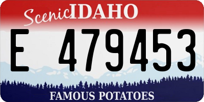 ID license plate E479453