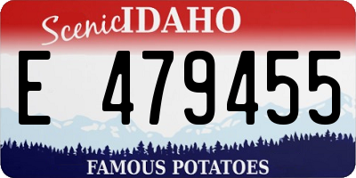 ID license plate E479455