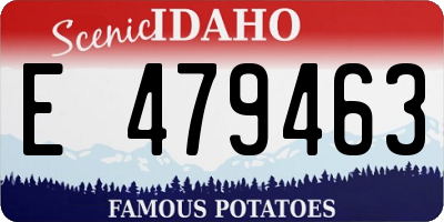 ID license plate E479463