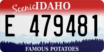 ID license plate E479481