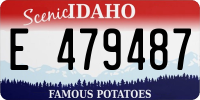 ID license plate E479487