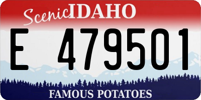 ID license plate E479501