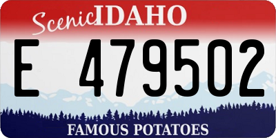 ID license plate E479502