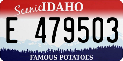 ID license plate E479503