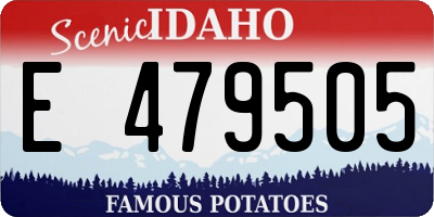 ID license plate E479505