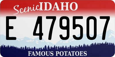 ID license plate E479507