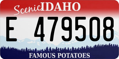 ID license plate E479508