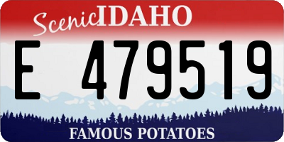 ID license plate E479519