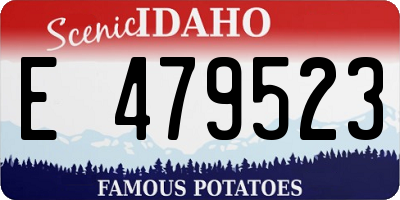 ID license plate E479523