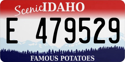 ID license plate E479529