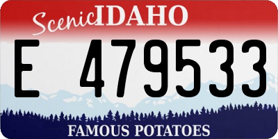 ID license plate E479533