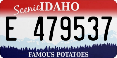 ID license plate E479537
