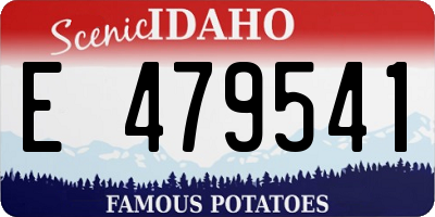 ID license plate E479541