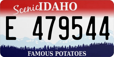 ID license plate E479544