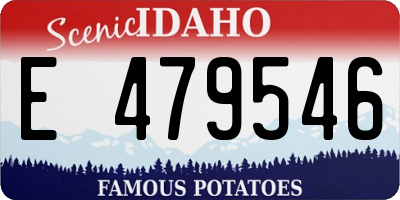 ID license plate E479546